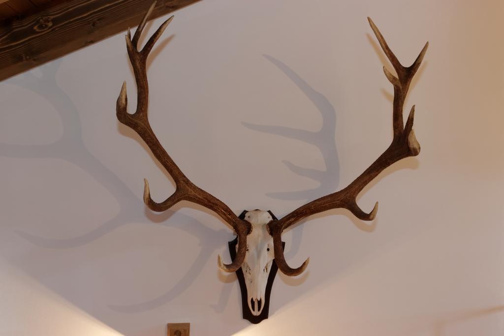 Ferienhaus Hirschkopf Mauth Room photo